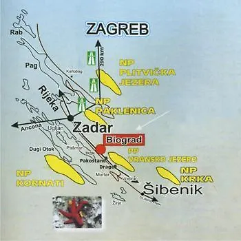 Lili * Biograd na Moru
